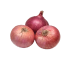 Onion